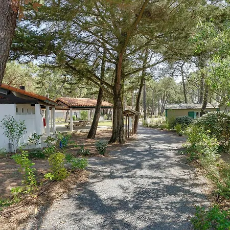 3 Bedroom Awesome In Holiday home
