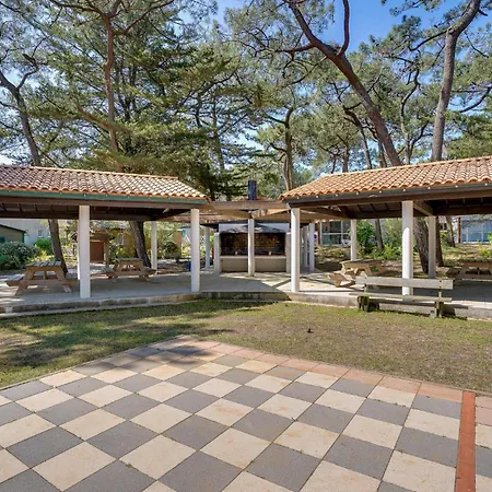 3 Bedroom Awesome In Holiday home *